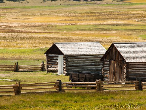 Quels sont les essentiels pour créer un jardin de balcon florissant et apaisant ?